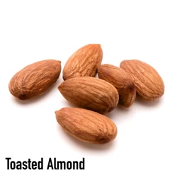 Toasted Almond Coffee, 35 Single Serve Cups 9 Toasted Almond Coffee, 35 Single Serve Cups -Coffee Beverage Shop ta4