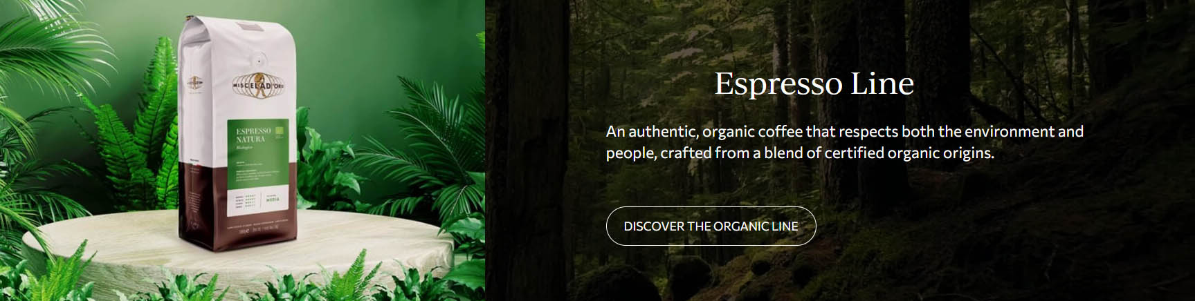 Coffee Beverage Shop -Coffee Beverage Shop dfyh